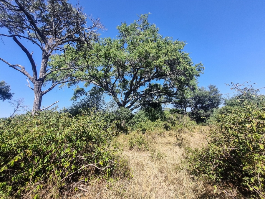 To Let 3 Bedroom Property for Rent in Raptors View Wildlife Estate Limpopo