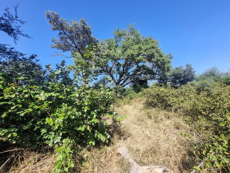 To Let 3 Bedroom Property for Rent in Raptors View Wildlife Estate Limpopo