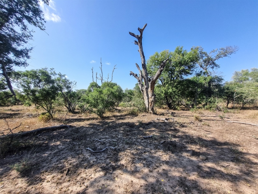 To Let 3 Bedroom Property for Rent in Raptors View Wildlife Estate Limpopo