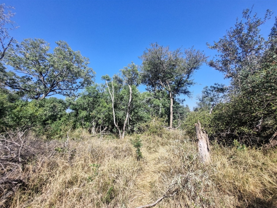 To Let 3 Bedroom Property for Rent in Raptors View Wildlife Estate Limpopo