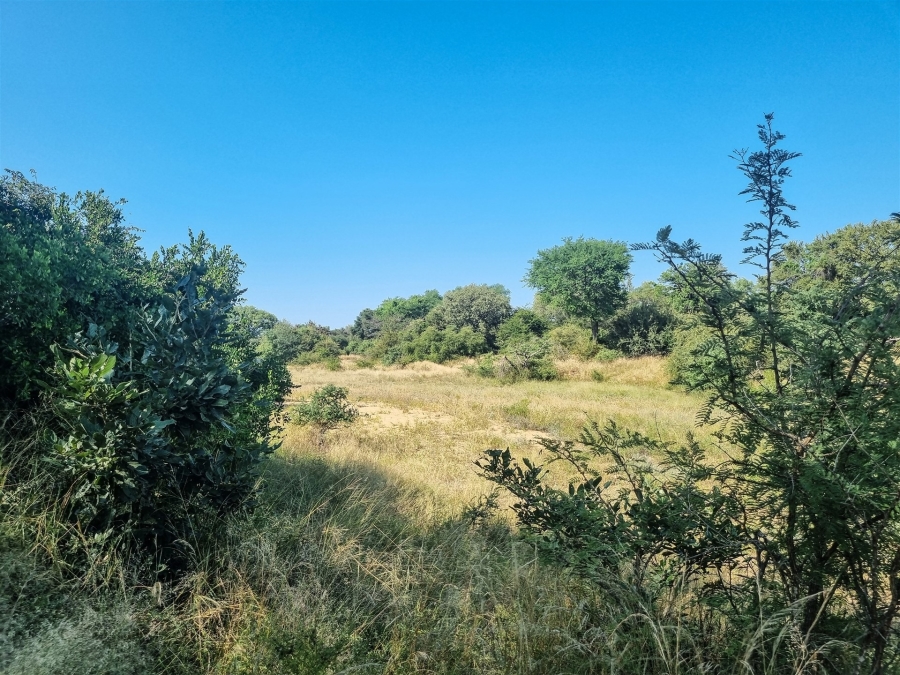 To Let 3 Bedroom Property for Rent in Raptors View Wildlife Estate Limpopo