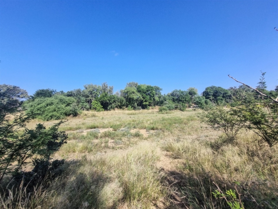 To Let 3 Bedroom Property for Rent in Raptors View Wildlife Estate Limpopo