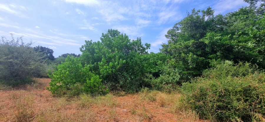 0 Bedroom Property for Sale in Elephant Rock Eco Estate Limpopo