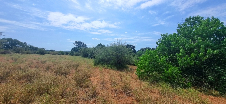 0 Bedroom Property for Sale in Elephant Rock Eco Estate Limpopo