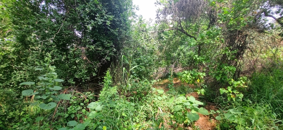 0 Bedroom Property for Sale in Elephant Rock Eco Estate Limpopo