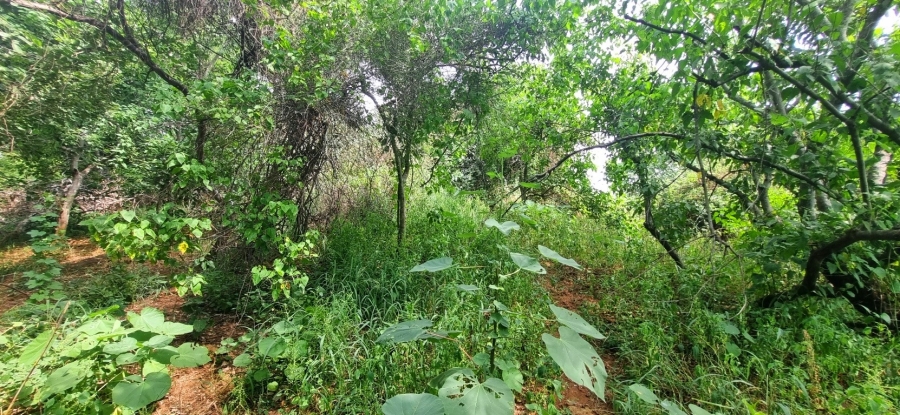 0 Bedroom Property for Sale in Elephant Rock Eco Estate Limpopo
