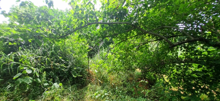 0 Bedroom Property for Sale in Elephant Rock Eco Estate Limpopo