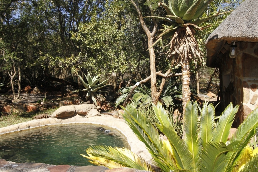 2 Bedroom Property for Sale in Blyde Botanical Reserve Limpopo