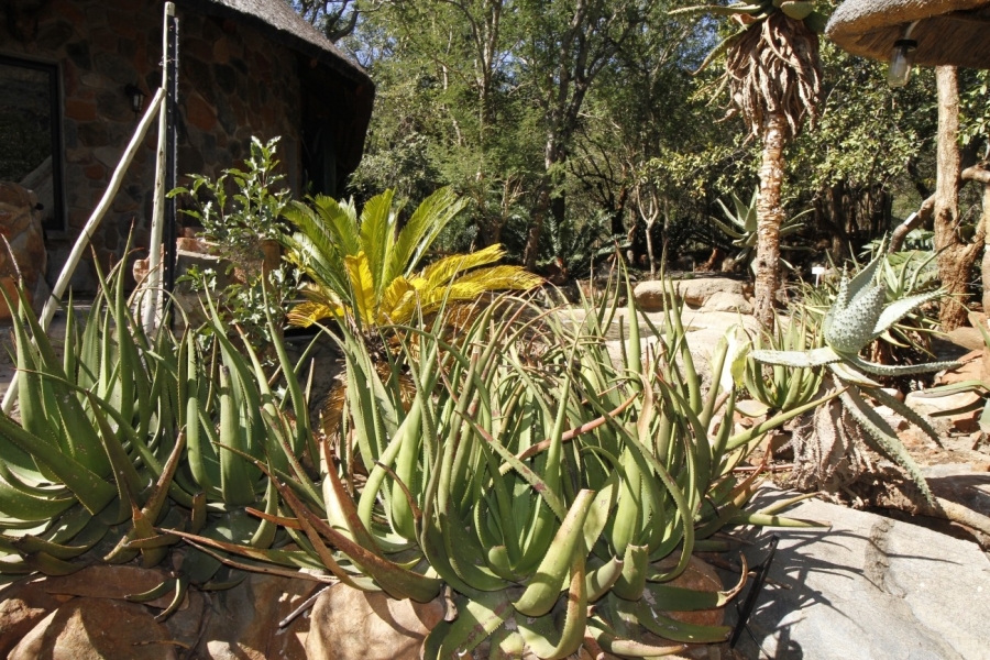 2 Bedroom Property for Sale in Blyde Botanical Reserve Limpopo