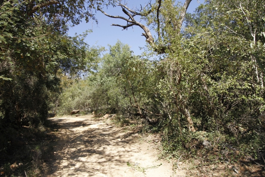 2 Bedroom Property for Sale in Blyde Botanical Reserve Limpopo