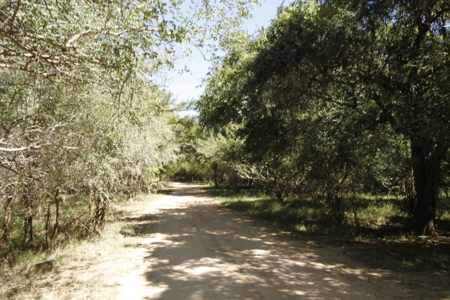 2 Bedroom Property for Sale in Blyde Botanical Reserve Limpopo
