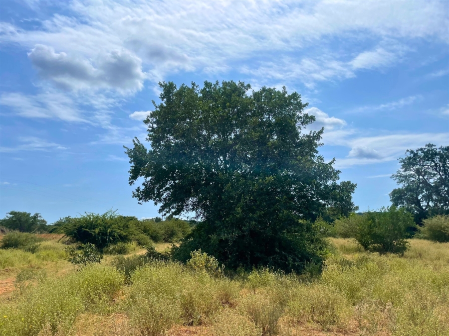 0 Bedroom Property for Sale in Elephant Rock Eco Estate Limpopo