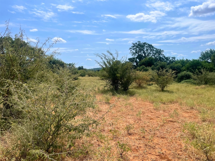 0 Bedroom Property for Sale in Elephant Rock Eco Estate Limpopo