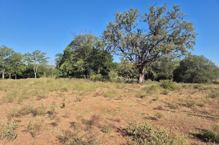 0 Bedroom Property for Sale in Elephant Rock Eco Estate Limpopo