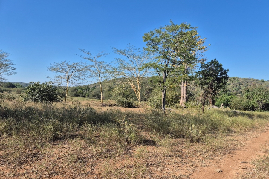 0 Bedroom Property for Sale in Elephant Rock Eco Estate Limpopo