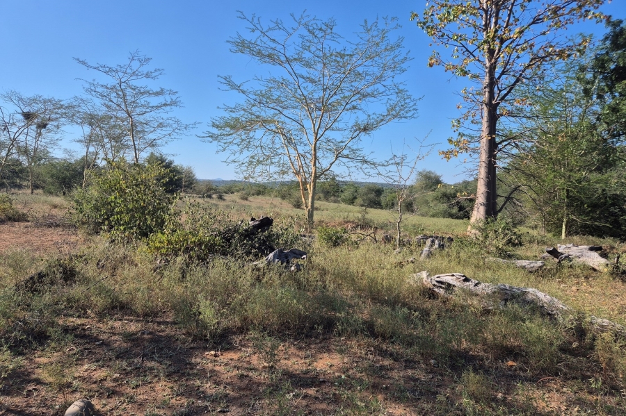 0 Bedroom Property for Sale in Elephant Rock Eco Estate Limpopo