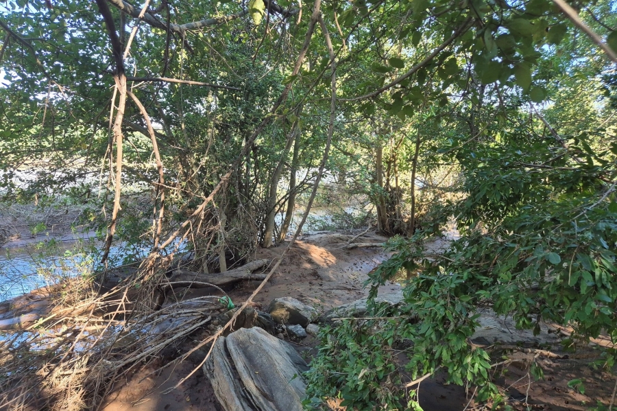 0 Bedroom Property for Sale in Elephant Rock Eco Estate Limpopo