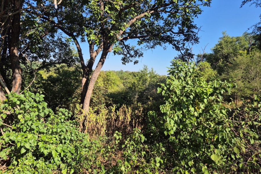 0 Bedroom Property for Sale in Elephant Rock Eco Estate Limpopo