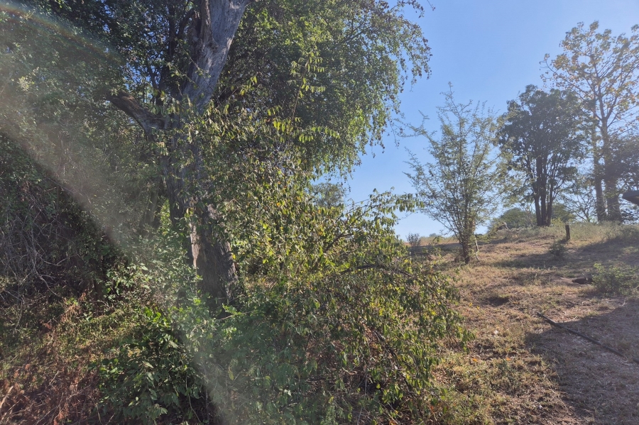0 Bedroom Property for Sale in Elephant Rock Eco Estate Limpopo
