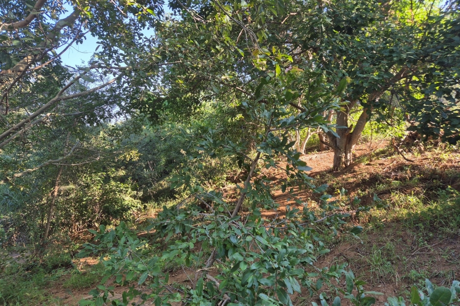 0 Bedroom Property for Sale in Elephant Rock Eco Estate Limpopo