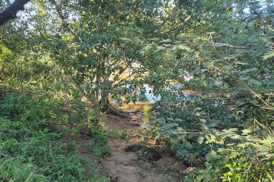 0 Bedroom Property for Sale in Elephant Rock Eco Estate Limpopo