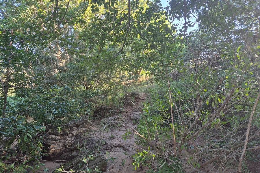 0 Bedroom Property for Sale in Elephant Rock Eco Estate Limpopo
