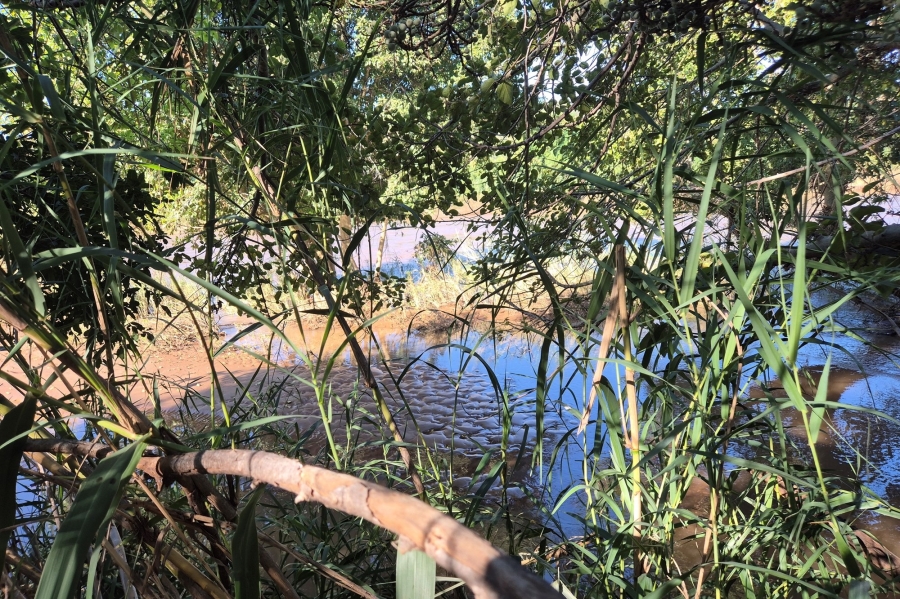 0 Bedroom Property for Sale in Elephant Rock Eco Estate Limpopo