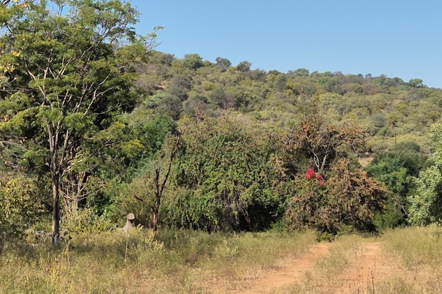 0 Bedroom Property for Sale in Elephant Rock Eco Estate Limpopo