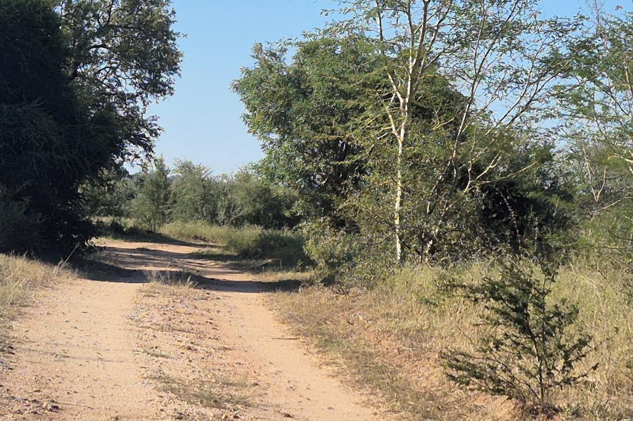 0 Bedroom Property for Sale in Elephant Rock Eco Estate Limpopo
