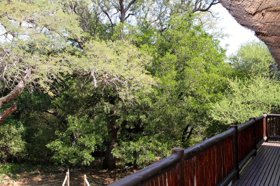 3 Bedroom Property for Sale in Blyde Wildlife Estate Limpopo