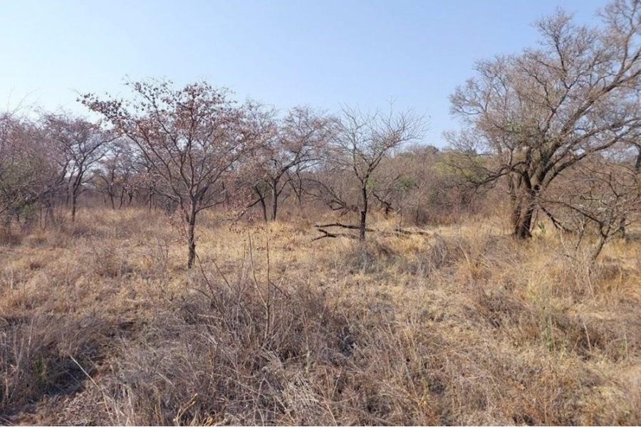 0 Bedroom Property for Sale in Bela Bela Limpopo