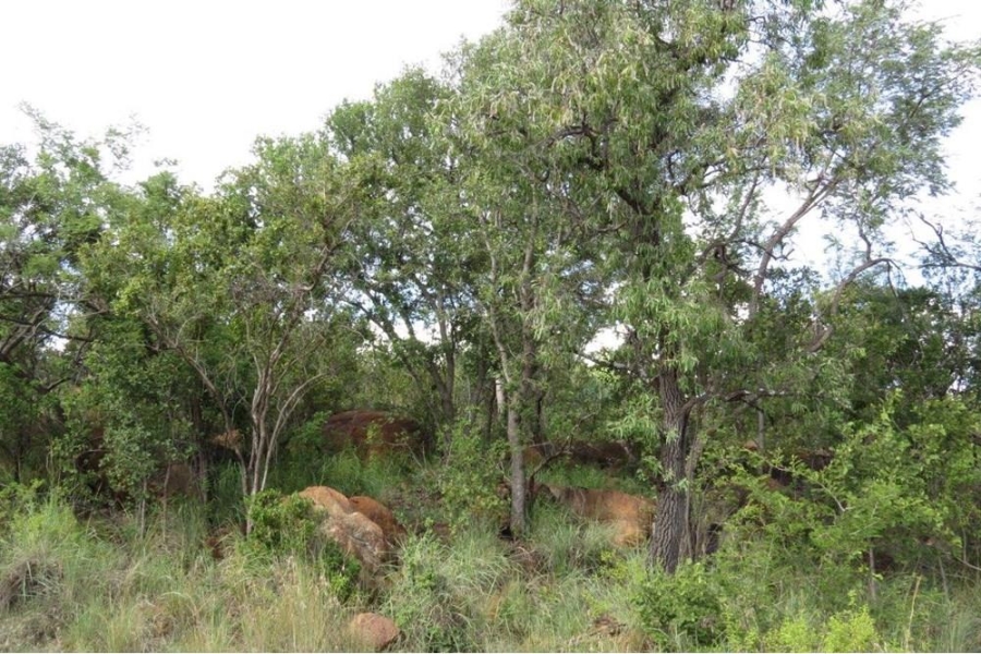 0 Bedroom Property for Sale in Bela Bela Limpopo