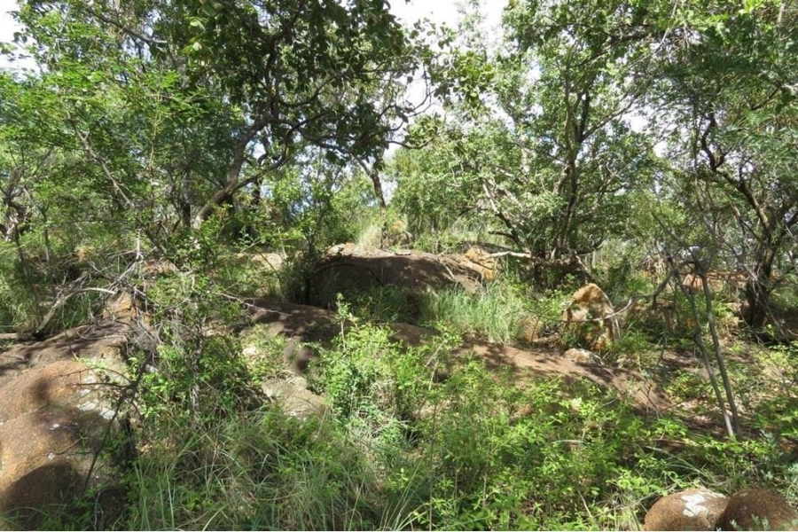 0 Bedroom Property for Sale in Bela Bela Limpopo