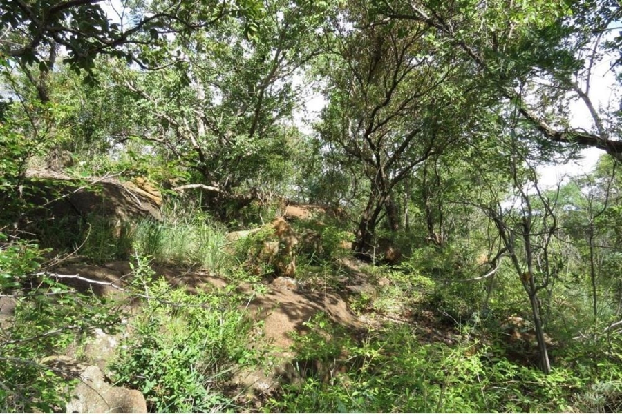 0 Bedroom Property for Sale in Bela Bela Limpopo