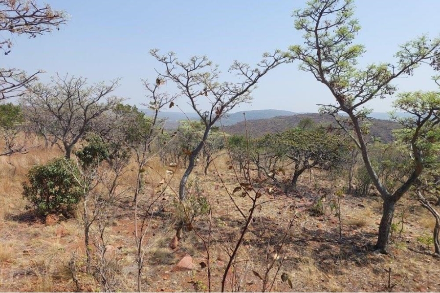 4 Bedroom Property for Sale in Bela Bela Limpopo