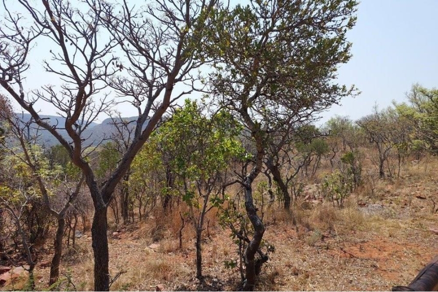 4 Bedroom Property for Sale in Bela Bela Limpopo