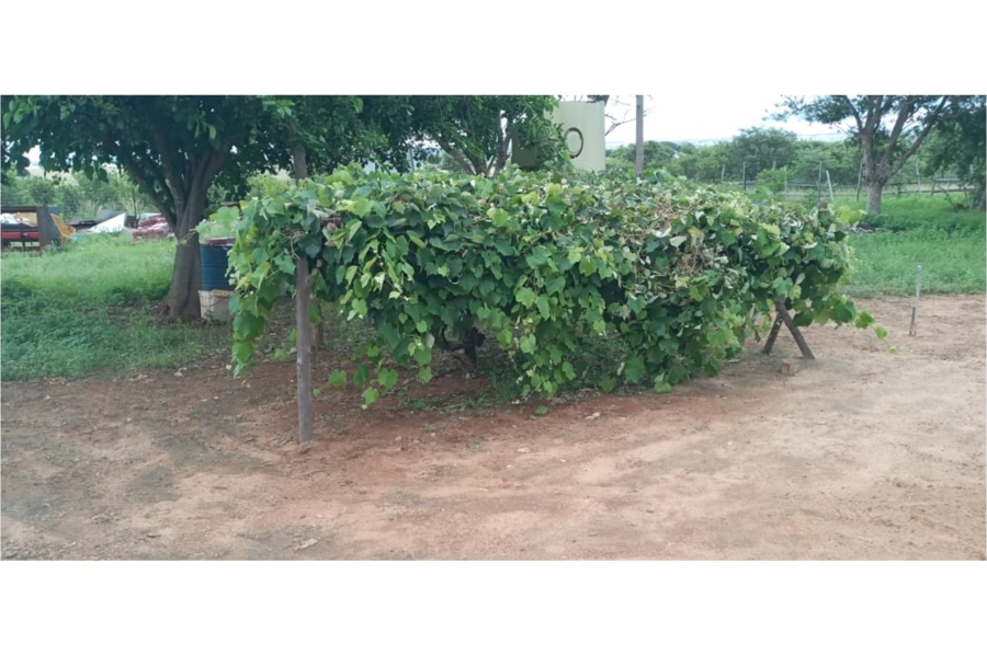 3 Bedroom Property for Sale in Leeukuil AH Limpopo
