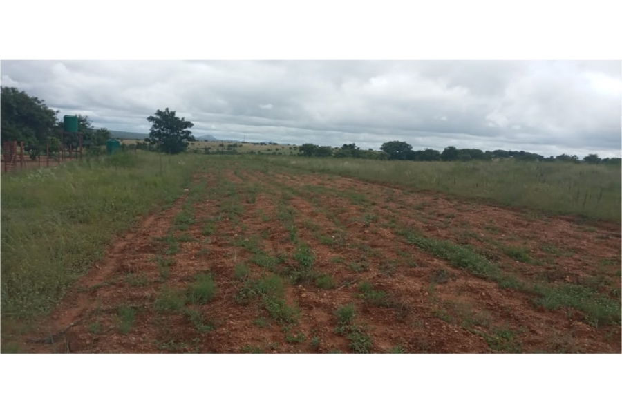 3 Bedroom Property for Sale in Leeukuil AH Limpopo