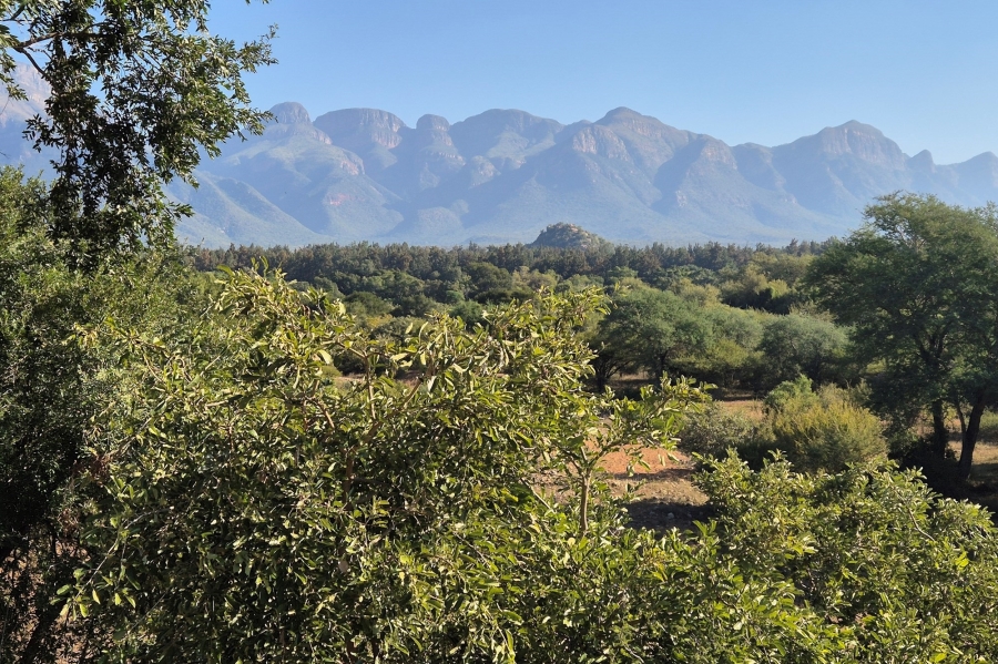 4 Bedroom Property for Sale in Blyde Wildlife Estate Limpopo