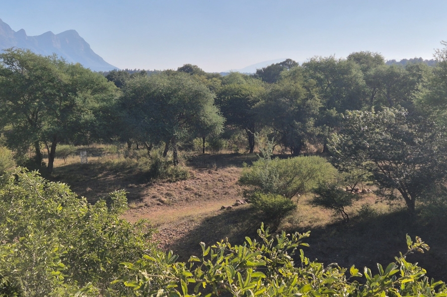 4 Bedroom Property for Sale in Blyde Wildlife Estate Limpopo