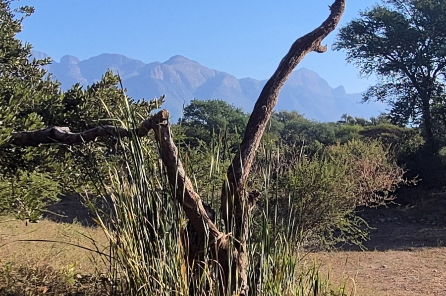 4 Bedroom Property for Sale in Blyde Wildlife Estate Limpopo