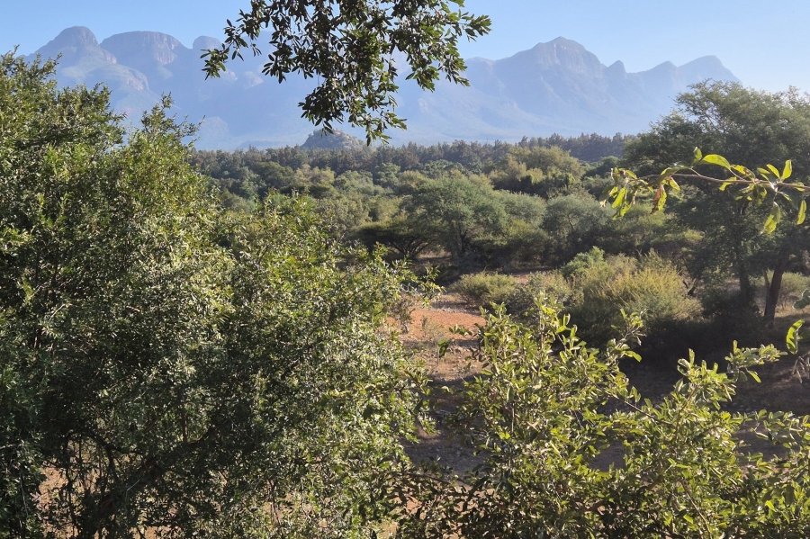 4 Bedroom Property for Sale in Blyde Wildlife Estate Limpopo