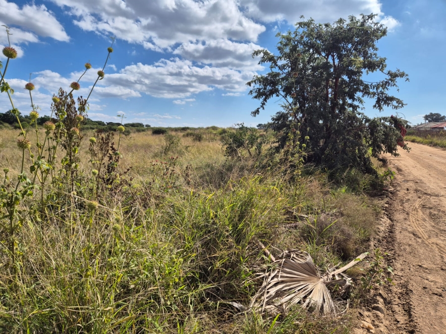 Commercial Property for Sale in Ivydale A H Limpopo