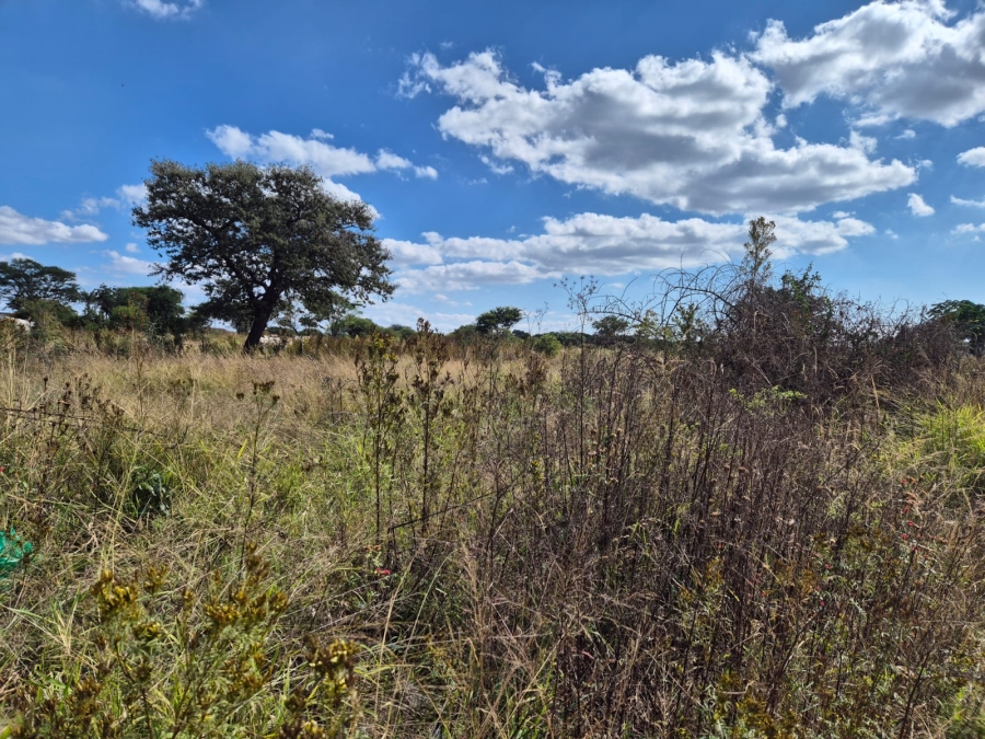 Commercial Property for Sale in Ivydale A H Limpopo
