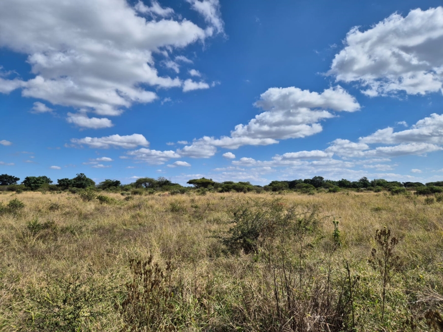 Commercial Property for Sale in Ivydale A H Limpopo
