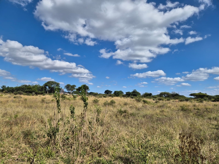 Commercial Property for Sale in Ivydale A H Limpopo
