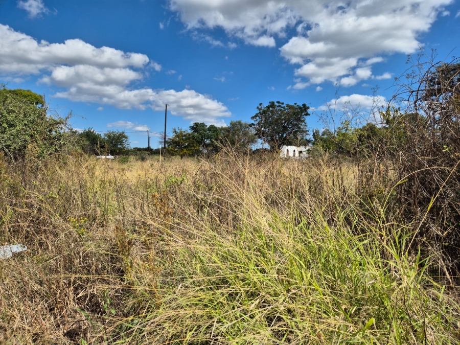 Commercial Property for Sale in Ivydale A H Limpopo
