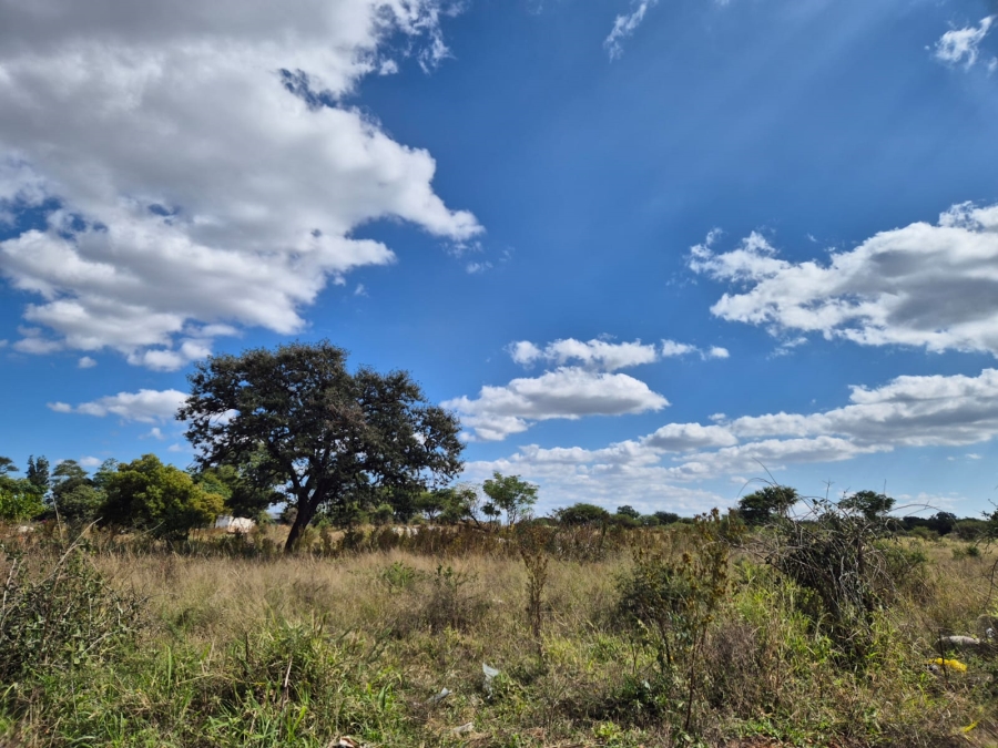 Commercial Property for Sale in Ivydale A H Limpopo
