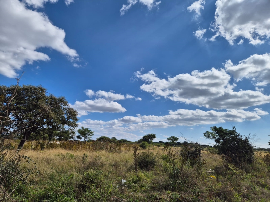 Commercial Property for Sale in Ivydale A H Limpopo