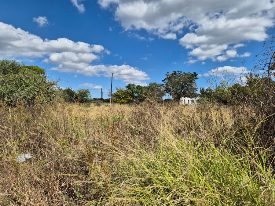 Commercial Property for Sale in Ivydale A H Limpopo